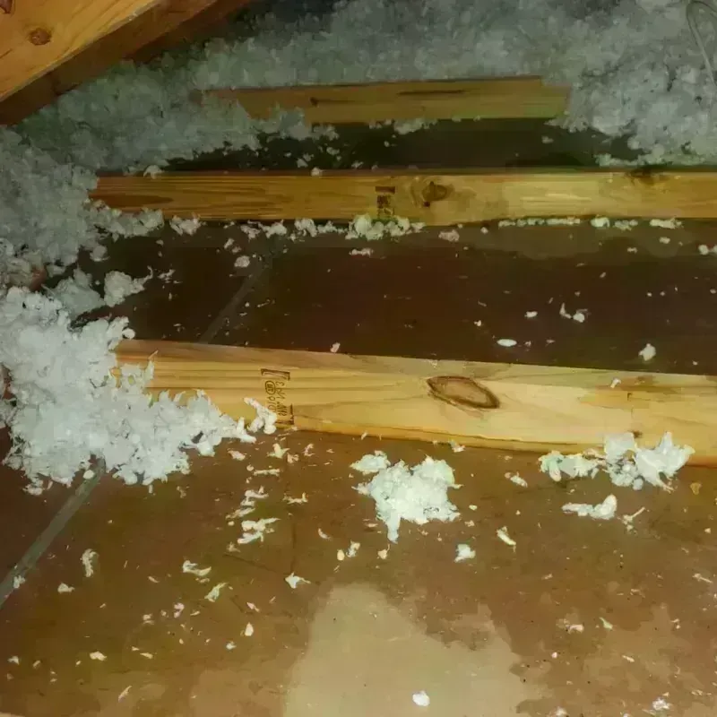 Attic Water Damage in Greene County, PA